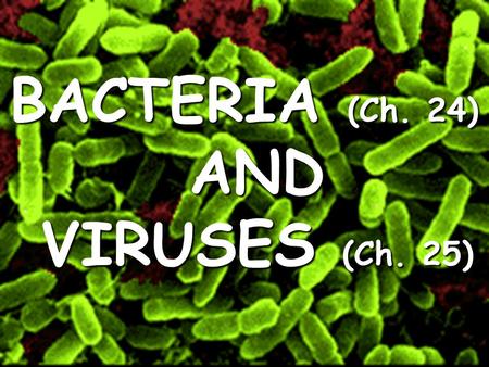 BACTERIA (Ch. 24) AND VIRUSES (Ch. 25). BACTERIA: Simplest & most primitive life forms (fossils from 3.5 bya)