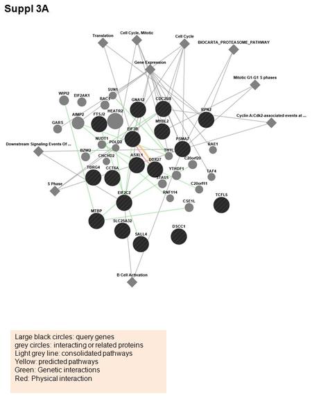 Large black circles: query genes grey circles: interacting or related proteins Light grey line: consolidated pathways Yellow: predicted pathways Green: