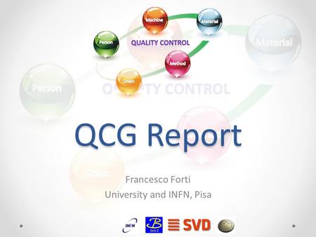 QCG Report Francesco Forti University and INFN, Pisa.