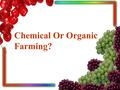 Chemical Or Organic Farming?. green food organic food.