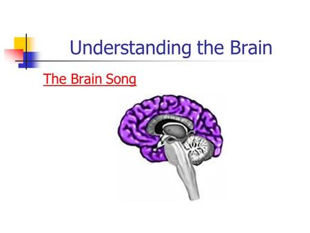 Understanding the Brain The Brain Song. Electroencephalograph (EEG) Monitors the electrical activity of the brain- brain waves Used in clinical diagnosis.