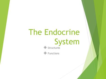 The Endocrine System  Structures  Functions. The Endocrine System  Homeostasis: the harmonious coordination and integration of all body functions 