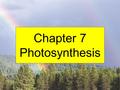 Chapter 7 Photosynthesis. PHOTOSYNTHESIS LIGHT ENERGY CONVERTED TO CHEMICAL ENERGY LIGHT--------CARBOHYDRATES.