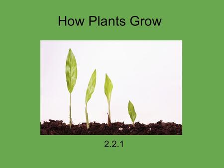 How Plants Grow 2.2.1. How do plants grow? What do plants need to grow? 1) Soil 2) Sun 3) Water.