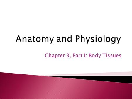 Chapter 3, Part I: Body Tissues. 1. Histology: ◦ the study of tissues. 2. Tissues: ◦ group of cells which are similar in structure and perform common.