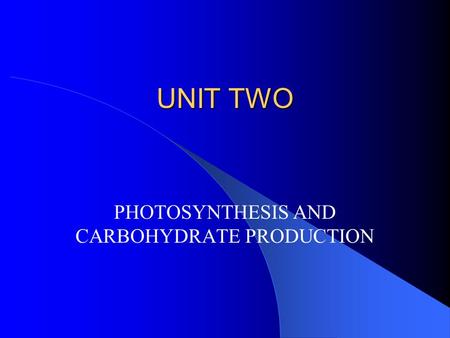 UNIT TWO PHOTOSYNTHESIS AND CARBOHYDRATE PRODUCTION.