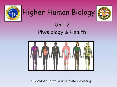 Higher Human Biology Unit 2 Physiology & Health KEY AREA 4: Ante- and Postnatal Screening.