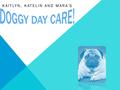 KAITLYN, KATELIN AND MARA’S. DOGGY DAY CARE! Our doggy day care will ensure a safe and friendly environment for your dog. We will provide a variety of.