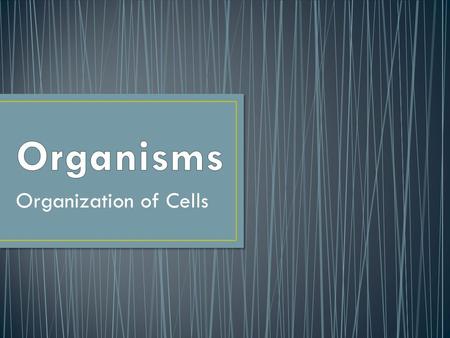 Organization of Cells. A branch of biology and medicine that considers the structure of living things Human anatomy focuses on the human body.