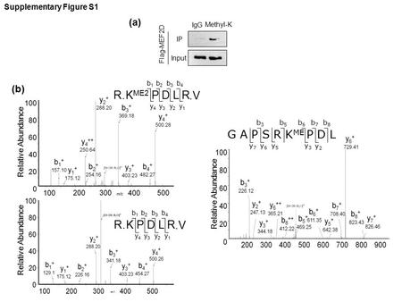 (b) Relative Abundance K P D L R y2y2 y3y3 y4y4 b2b2 b4b4 b3b3 y1y1 b1b1.V R. Relative Abundance y2y2 y3y3 y4y4 b2b2 b4b4 b3b3 y1y1 b1b1.V R. K ME2 P D.