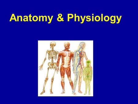 Anatomy & Physiology. BIOLOGY – BOTANY – ZOOLOGY – MORPHOLOGY – PATHOLOGY – GENETICS –