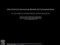 Motor Points for the Neuromuscular Blockade of the Subscapularis Muscle Tim P. Harrison, MBBS, BSc, Anna Sadnicka, MBChB, BSc, Deborah M. Eastwood, MB,