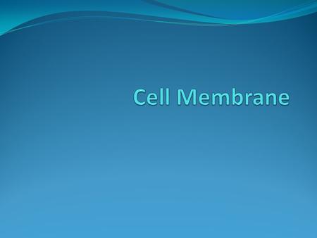 Homeostasis Living things respond to their environment Cells maintain homeostasis by controlling the movement of substances across the cell membrane.