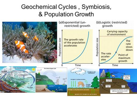 Geochemical Cycles, Symbiosis, & Population Growth.