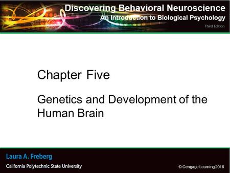 © Cengage Learning 2016 Genetics and Development of the Human Brain Chapter Five.