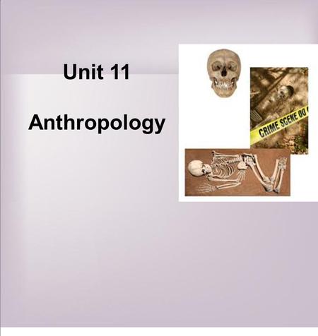 Unit 11 Anthropology.