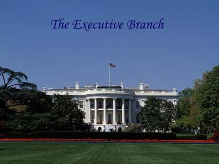 The Legislative Branch The Executive Branch. Relevant Standards of Learning CE.6The student will demonstrate knowledge of the American constitutional.