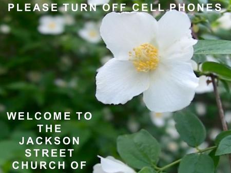 WELCOME TO THE JACKSON STREET CHURCH OF CHRIST PLEASE TURN OFF CELL PHONES.