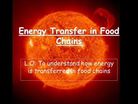 Energy Transfer in Food Chains