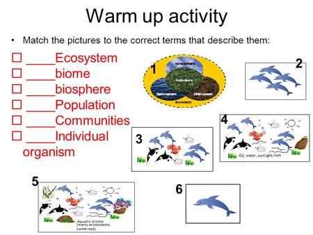 Warm up activity Match the pictures to the correct terms that describe them:  ____Ecosystem  ____biome  ____biosphere  ____Population  ____Communities.