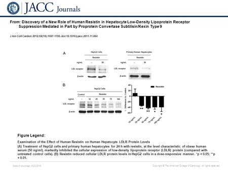 Date of download: 6/23/2016 Copyright © The American College of Cardiology. All rights reserved. From: Discovery of a New Role of Human Resistin in Hepatocyte.