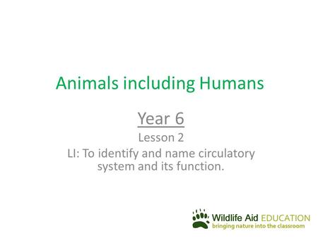 Animals including Humans