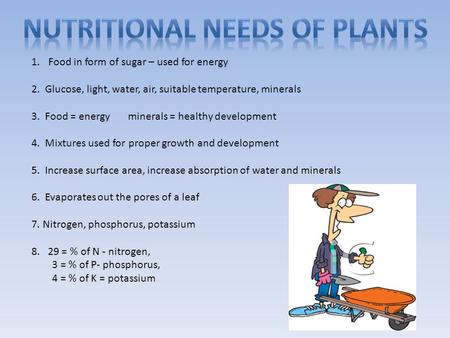 1.Food in form of sugar – used for energy 2. Glucose, light, water, air, suitable temperature, minerals 3. Food = energy minerals = healthy development.