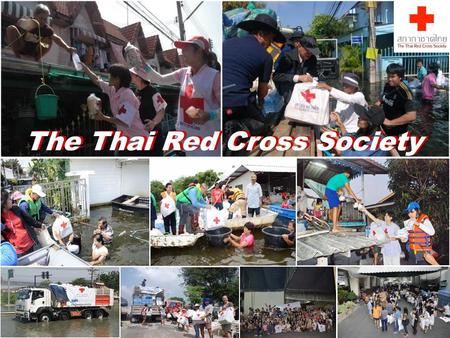 The Thai Red Cross Society. TRC Progress and Future plans TRC Progress and Future plans - Structure of TRC and RCH - Capacity mapping ; CPs, SoP - Early.