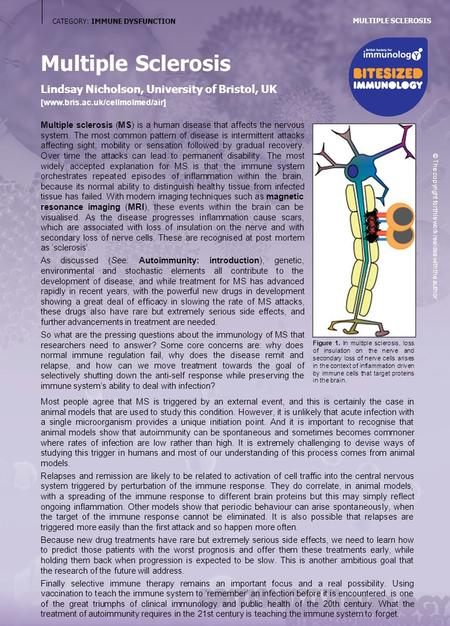 CATEGORY: IMMUNE DYSFUNCTION Multiple Sclerosis Lindsay Nicholson, University of Bristol, UK [www.bris.ac.uk/cellmolmed/air] Multiple sclerosis (MS) is.