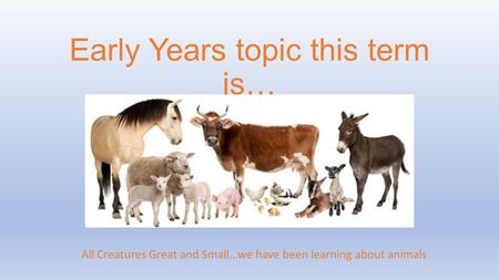 Early Years topic this term is… All Creatures Great and Small…we have been learning about animals.