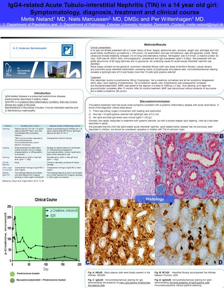 Prednisolone treated Mycophenolatemofetil + Prednisolone treated IgG4-related Acute Tubulo-interstitial Nephritis (TIN) in a 14 year old girl: Symptomatology,