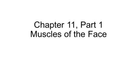 Chapter 11, Part 1 Muscles of the Face