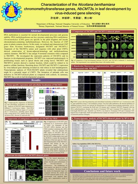 Characterization of the Nicotiana benthamiana chromomethyltransferase genes, NbCMT3s, in leaf development by virus-induced gene silencing Abstract Results.