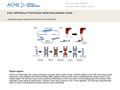 Date of download: 6/23/2016 Copyright © ASME. All rights reserved. From: Self-Folding of Thick Polymer Sheets Using Gradients of Heat J. Mechanisms Robotics.