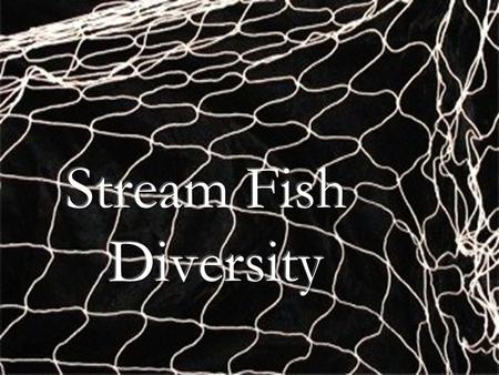 Ecological Principles of Diversity 1. Principle of Limiting Similarity - There is a limit to the similarity of coexisting competitors; they cannot occupy.