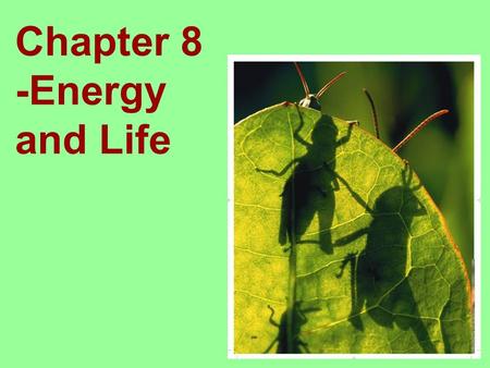 Chapter 8 -Energy and Life. Living things need energy to survive. This energy comes from food. The energy in most food comes from the sun. Where do plants.