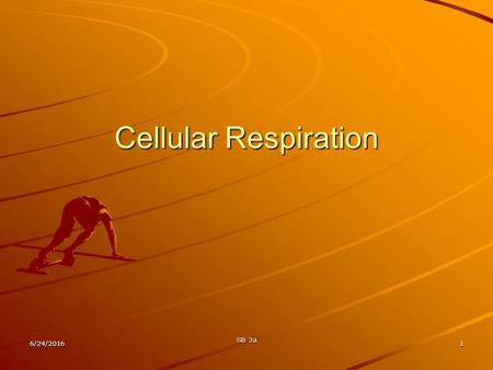 6/24/2016 SB 3a 1 Cellular Respiration 6/24/2016 SB 3a 2 SB 3 Students will derive the relationship between single-celled and multi-celled organisms.