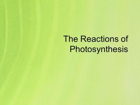 The Reactions of Photosynthesis. The process of photosynthesis is quite complex; you will only have to know a simplified overview of the steps and stages.