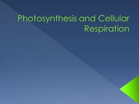  Metabolism › Sum of all chemical changes/reactions in an organism  Photosynthesis › Conversion of light energy (E) into sugars (a form of chemical.