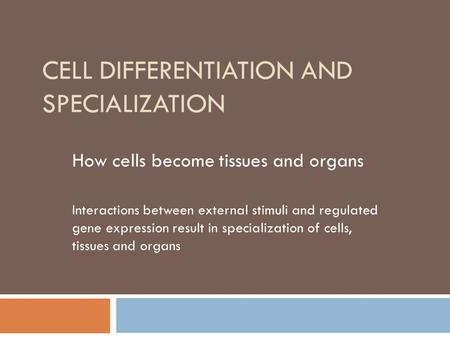 Cell Differentiation and Specialization