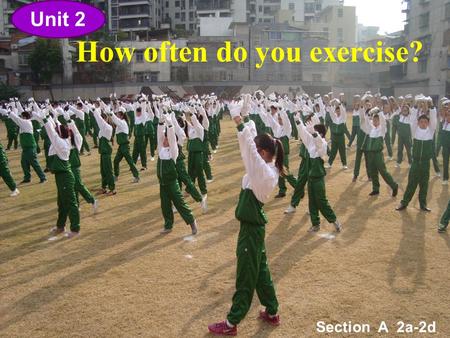 How often do you exercise?