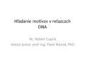 Hľadanie motívov v reťazcoch DNA Bc. Róbert Cuprik Vedúci práce: prof. Ing. Pavol Návrat, PhD.