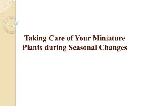 Taking Care of Your Miniature Plants during Seasonal Changes.