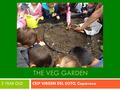 THE VEG GARDEN 3 YEAR OLD CEIP VIRGEN DEL SOTO, Caparroso.