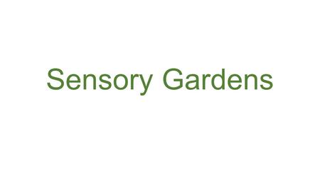 Sensory Gardens.