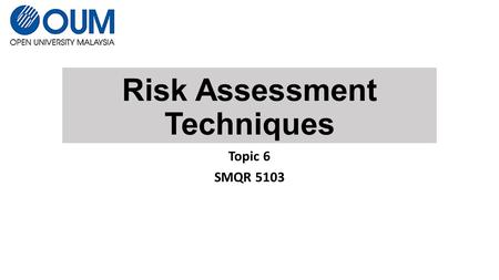 Risk Assessment Techniques