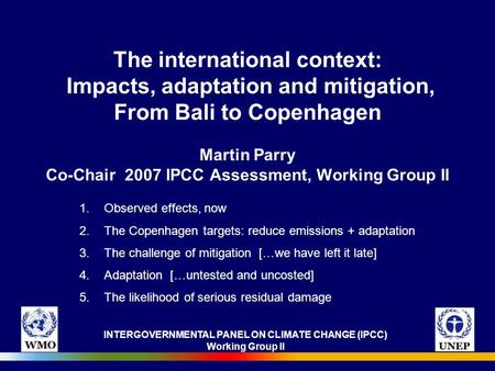 INTERGOVERNMENTAL PANEL ON CLIMATE CHANGE (IPCC) Working Group II The international context: Impacts, adaptation and mitigation, From Bali to Copenhagen.