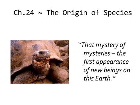 Ch.24 ~ The Origin of Species “That mystery of mysteries – the first appearance of new beings on this Earth.”