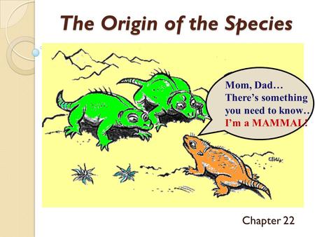 The Origin of the Species Chapter 22 Mom, Dad… There’s something you need to know… I’m a MAMMAL!