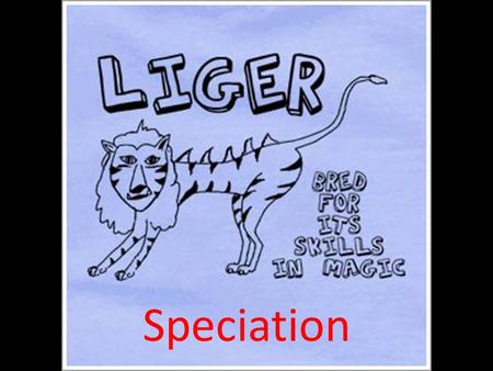 Speciation. What is a species? Biological species concept – a population or group of populations whose members have the potential to interbreed in nature.